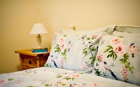 Crebilly Cottage - Rural Life Doesn'T Get Better